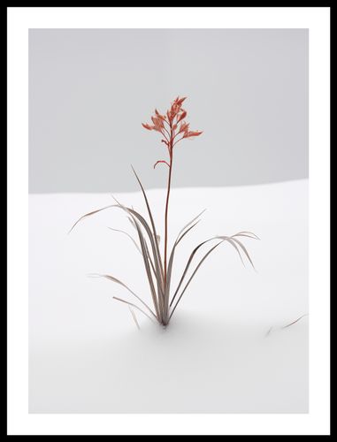 Plakat 40x55cm Subtelność Natury na Arena.pl