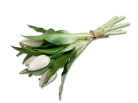 Tulipany silikonowe białe | realistyczny wygląd | 27 cm bukiet | 7 szt.