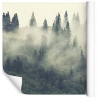 Fototapeta Las we Mgle Rośliny ZIELEŃ do Salonu 135x90