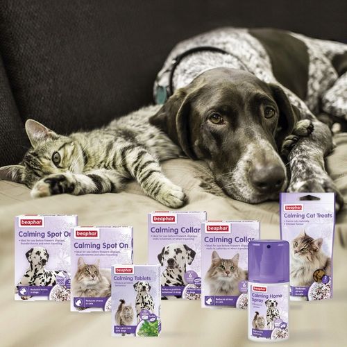 Beaphar Calming Home Spray relaksacyjny dla kotów 125 ml na Arena.pl