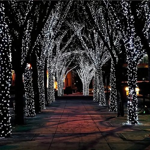 Lampki choinkowe 1000LED Zimny biały 50M Światełka zewnętrzne FLESH IP44 na Arena.pl