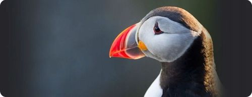 Tusz HP 303 czarny (black) T6N02AE na Arena.pl