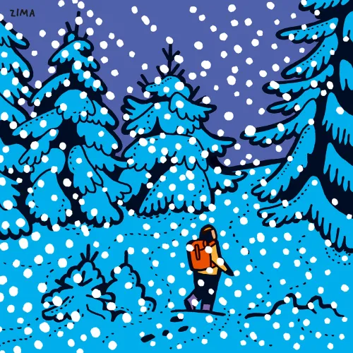 Jeden rok na Arena.pl