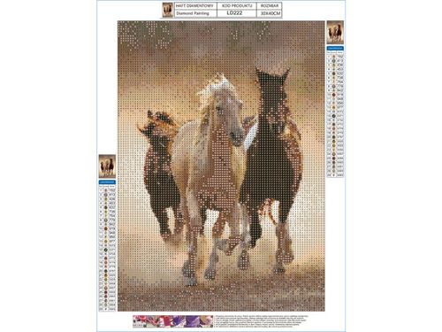 OBRAZ DIAMENTOWY  KONIE na Arena.pl