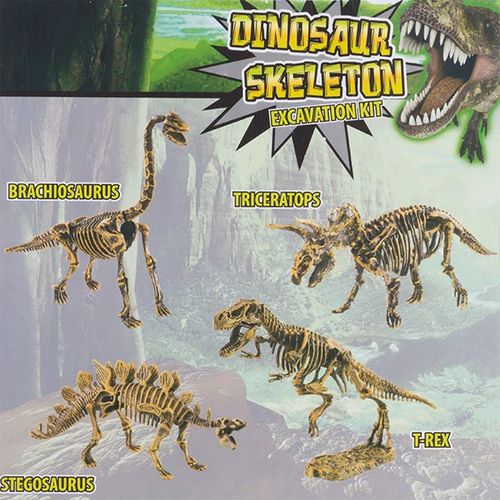 Gra Wykopaliska Junior Knows na Arena.pl