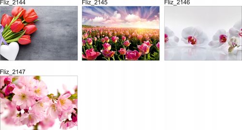 FOTOTAPETA KWIATY CZERWONE TULIPANY BIAŁE SERCE na Arena.pl