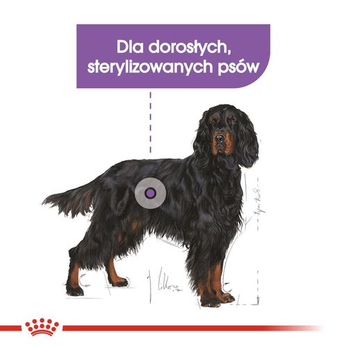 royal canin ccn maxi sterilised 12kg na Arena.pl