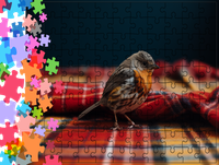 Puzzle tradycyjne Zwierzęta - Ptak