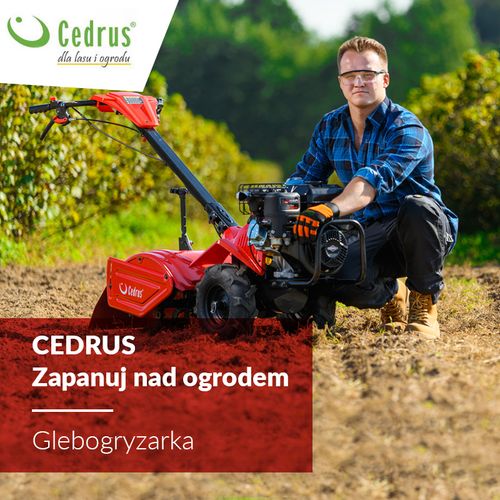 Glebogryzarka spalinowa CEDRUS GLX-GT65-2L SAMOBIEŻNA Z NAPĘDEM KULTYWATOR 6.5KM / 50 cm SILNIK LONCIN G200F - OFICJALNY DYSTRYBUTOR - AUTORYZOWANY DEALER CEDRUS na Arena.pl