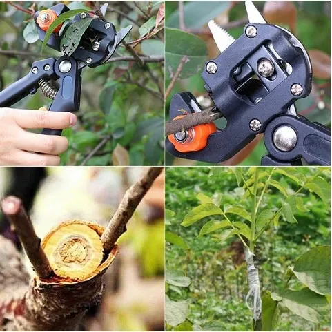 NOŻYCE SEKATOR do SZCZEPIENIA DRZEW KRZEWÓW WINOGRON OKULIZACJA + TAŚMA zdjęcie 2