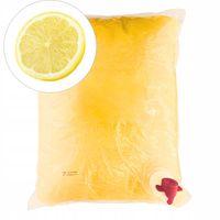 Sok z Cytryny 100% 5L Naturalny Bez Dodatku Cukru Bez Konserwantów