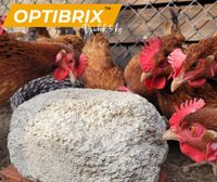 Optibrix 5 kg Dziobak wapń witaminy dla kur niosek kanibalizm kur
