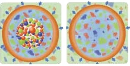 Barfertile Universal Nawóz letni 5kg Barenbrug na Arena.pl