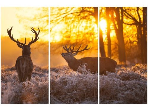 60 90CM OBRAZ 3 ELEM JELENIE DRUK PŁÓTNO RAMA na Arena.pl