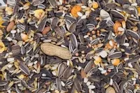 Karma dla papug dużych 1 kg