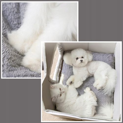 DOMEK DLA KOTA PSA LEGOWISKO BUDA LEGOWISKO POSŁANIE KOJEC PODUSZKA na Arena.pl