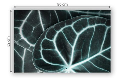 SZKLANA DESKA NA KUCHENKĘ 80x52 009B LIŚCIE na Arena.pl