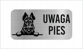 GRAWER Tabliczka nierdzewna 20x10 UWAGA PIES Terier szkocki