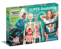 naukowa zabawa super anatomia 9195