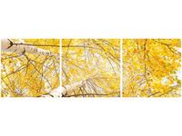 90 80CM OBRAZ T3 ELEM BRZOZA DRUK ŚCIENNY