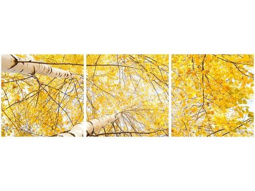 90 80CM OBRAZ T3 ELEM BRZOZA DRUK ŚCIENNY na Arena.pl