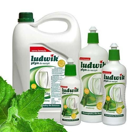 LUDWIK Płyn do mycia naczyń miętowy 5 kg na Arena.pl