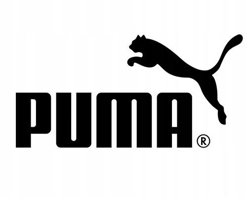 PLECAK PLUS BACKPACK PUMA na Arena.pl