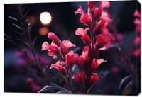 Obraz 100x70cm Wieczorny Blask