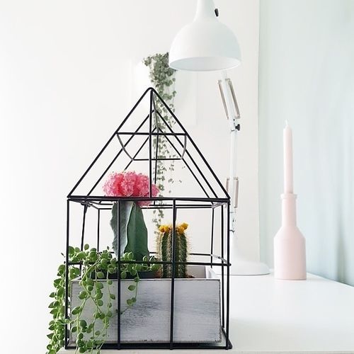 Organizer homme na Arena.pl