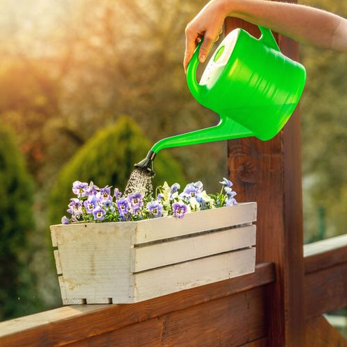 Konewka Do Podlewania Zraszania Ogrodowa 2,5L 2szt na Arena.pl