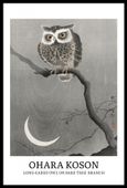 Plakat 40x60cm Design Long-Eared Owl, Koson Vintage do Salonu