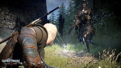 WIEDŹMIN 3 DZIKI GON PL [PC] na Arena.pl