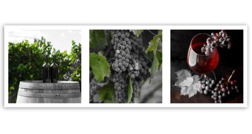 Emaga Obraz na płótnie, Magia winnicy - 90x30 na Arena.pl