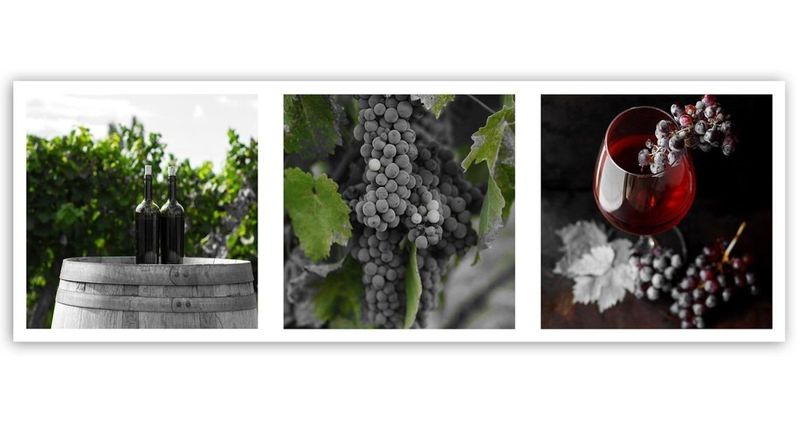 Emaga Obraz na płótnie, Magia winnicy - 90x30 zdjęcie 3