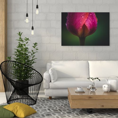 Deco Panel, Pączek i rosa 120x80 na Arena.pl