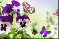 product-compare-58693896