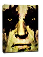 Face It! Star Wars Gwiezdne Wojny - Darth Bane - obraz na płótnie 90x120 cm