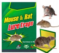lep na myszy i szczury pako - 1 szt.