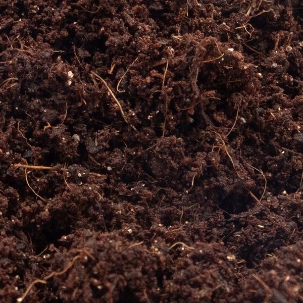 Podłoże dla ślimaków 3L EXOTIC HOBBY zdjęcie 2