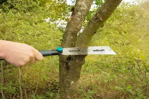 WOLFCRAFT PIŁA RĘCZNA JAPOŃSKA DO DREWNA 240MM na Arena.pl