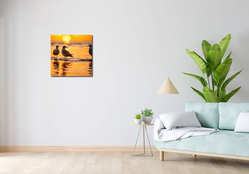 Obraz 50x50cm Mewia Gawęda zdjęcie 2