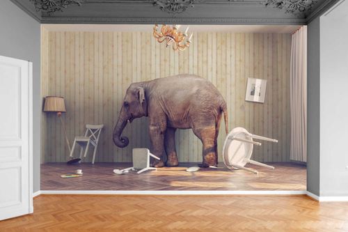 Fototapeta ELEGANCKI SŁOŃ W POKOJU 200x130 na Arena.pl