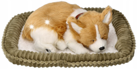 Piesek Corgie Maskotka Szczeniaczek Oddychający Śpiący Pies Perfect Petzzz