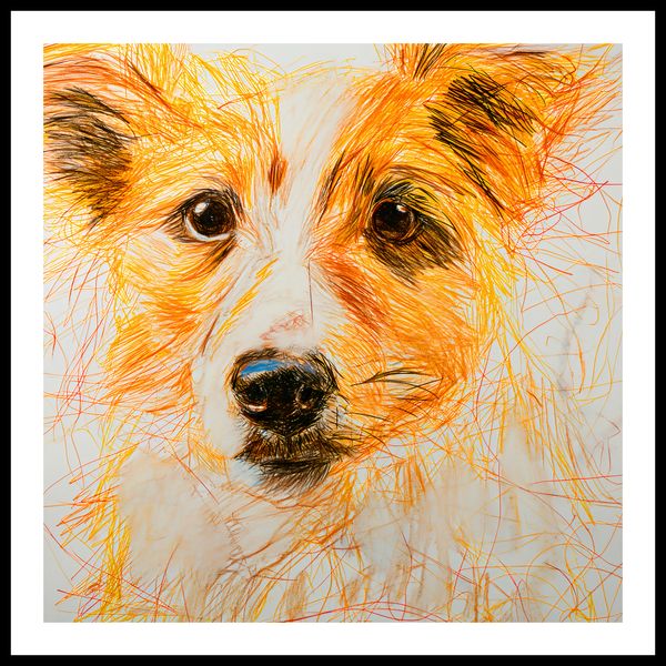 Plakat 80x80cm Uroczy Gość zdjęcie 3