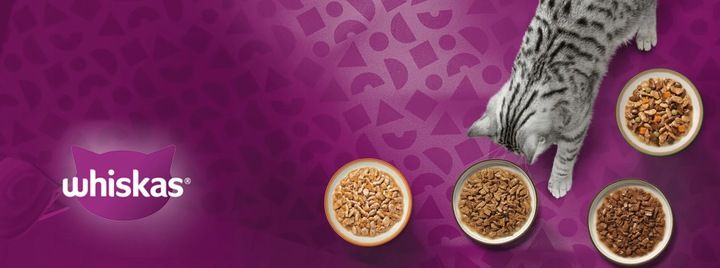 WHISKAS MOKRA KARMA DLA KOTA RYBNE SMAKI W GALARETCE SASZETKI 40X85 G zdjęcie 6