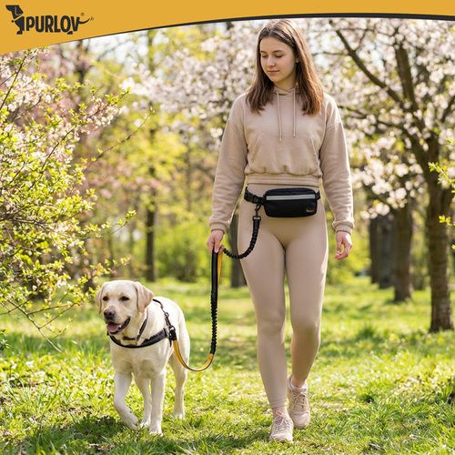 Pas Biodrowy Ze Smyczą Purlov 24689 na Arena.pl