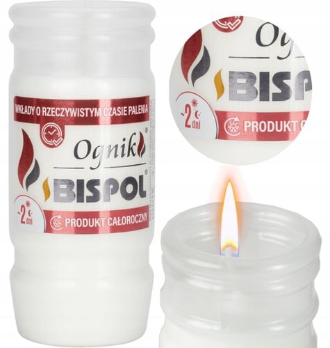 bispol - wkład zalewany ognik wp2n - 1 szt. na Arena.pl