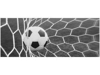 100X40CM PIŁKA BRAMCE OBRAZ DREWNO