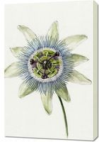 Obraz 60x90cm Passion Flower, Jean Bernard Vintage do Salonu
