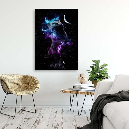 Deco Panel, Kosmos kot księżyc 50x70 na Arena.pl